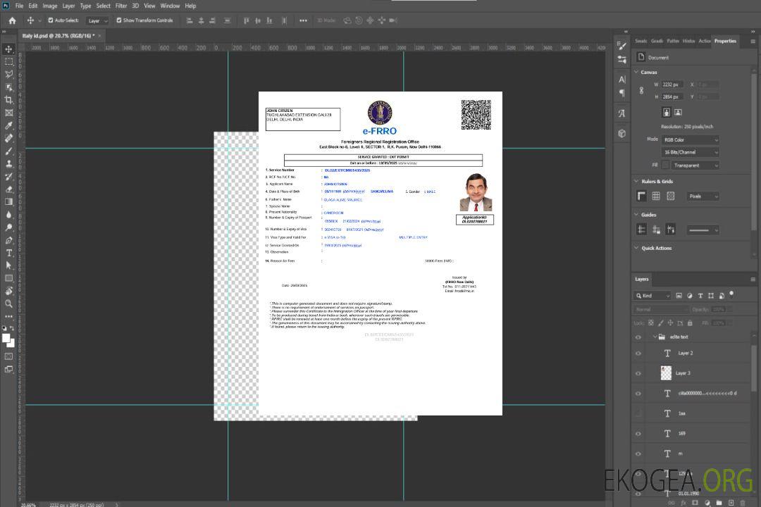 Modèle de visa électronique pour l'Inde aux formats Word et PDF, version 3 template
